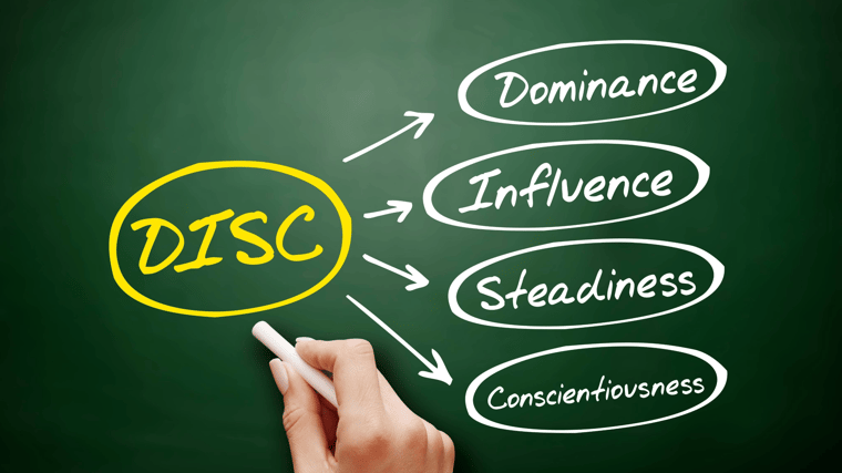 DISC Training: Getting the Most Out of DISC for Your Organization