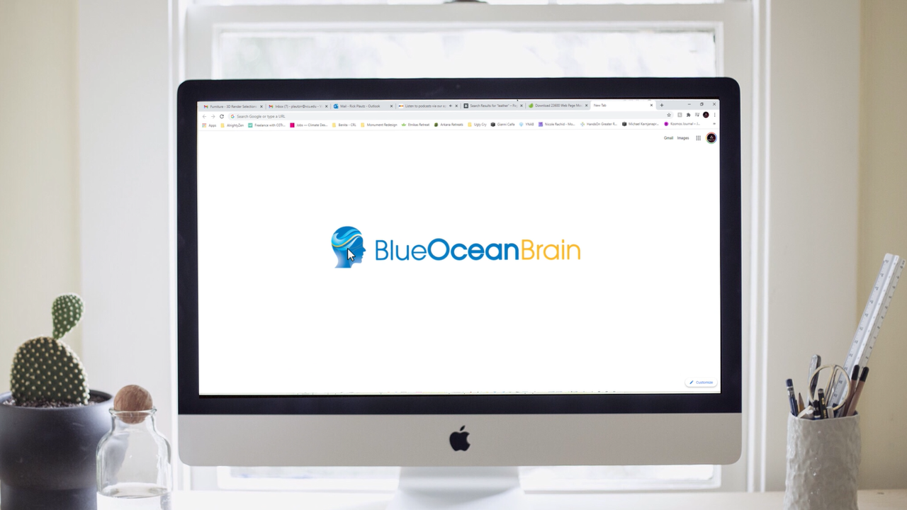 Video: Meet Blue Ocean Brain